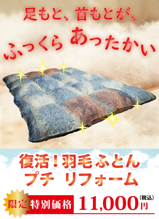 羽毛布団プチリフォームが安い11,000円