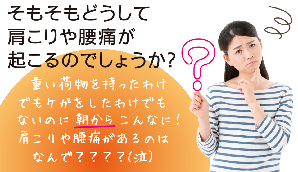 肩こりや腰痛は、なぜ起きる