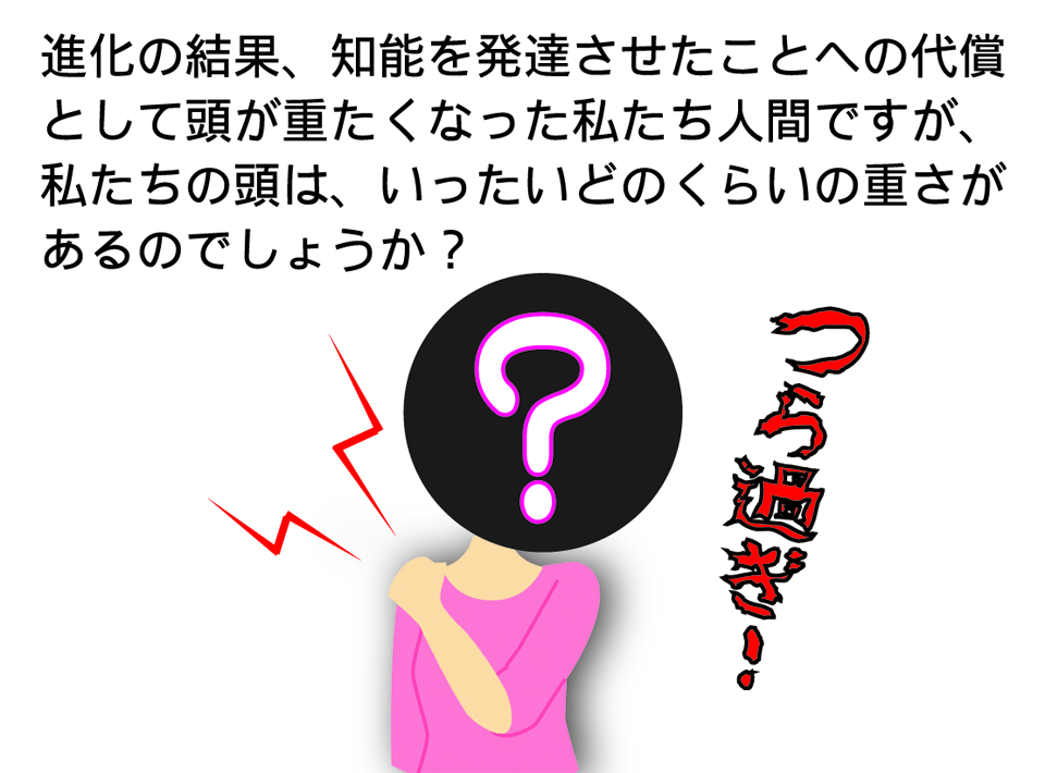 頭部の重さが肩こりの原因？