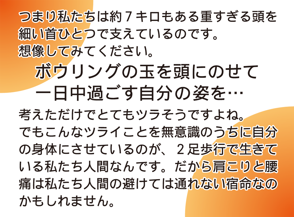 二足歩行は首・肩・腰に負担が掛かります。