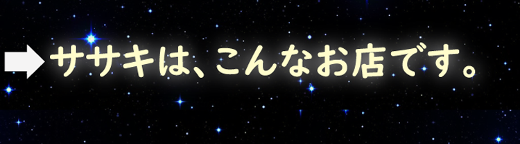 ササキは、こんなお店です。