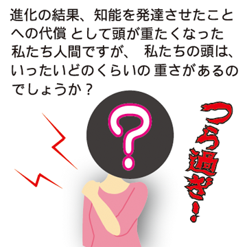人間の脳・頭は重いので肩・腰に負担が掛かります。