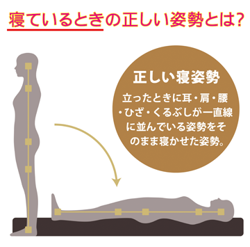 正しい寝姿勢とは